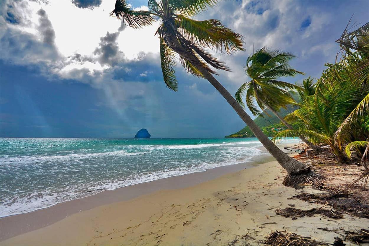 Malilia Beach A Sainte-Anne - Wifi -5 Min A Pied De La Plage Екстер'єр фото